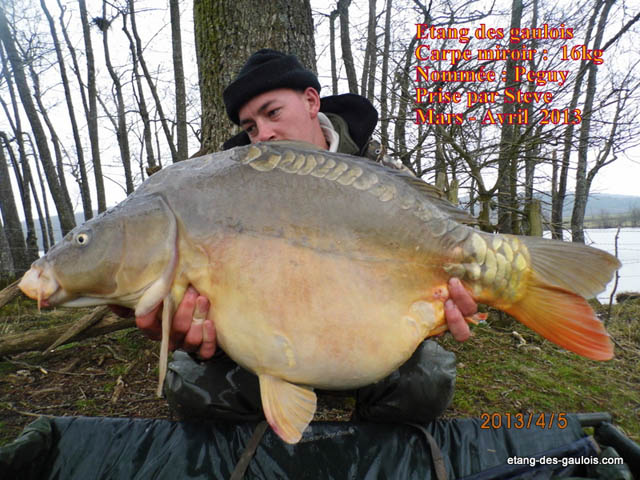Carpe-miroir-Peguy-16kg-Steve-avril-2013