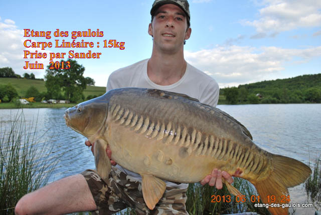 carpe-lineaire-15kg-sander-juin-2013_zoo