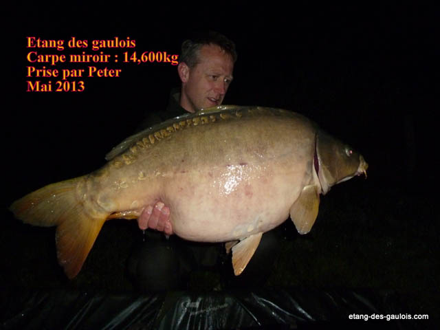 carpe-miroir-14kg600-peter-mai-2013_zoo