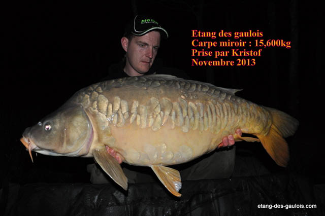 carpe-miroir-15kg600-kristof-nov2013_zoo