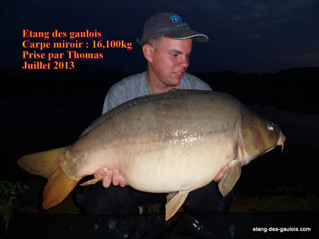 carpe-miroir-16kg100-thomas-juillet-2013-zoo