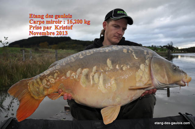carpe-miroir-16kg200-kristof-nov2013_zoo