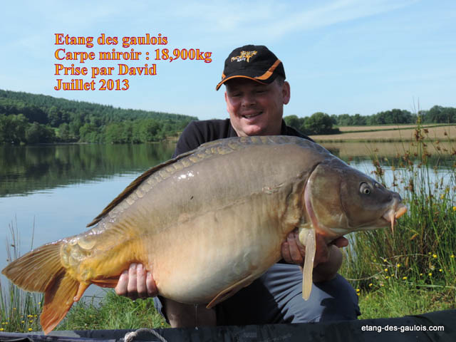 carpe-miroir-18kg900-david-juillet-2013_zoo
