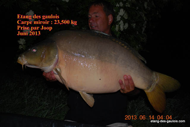 carpe-miroir-23kg500-joop-juin-2013_zoo