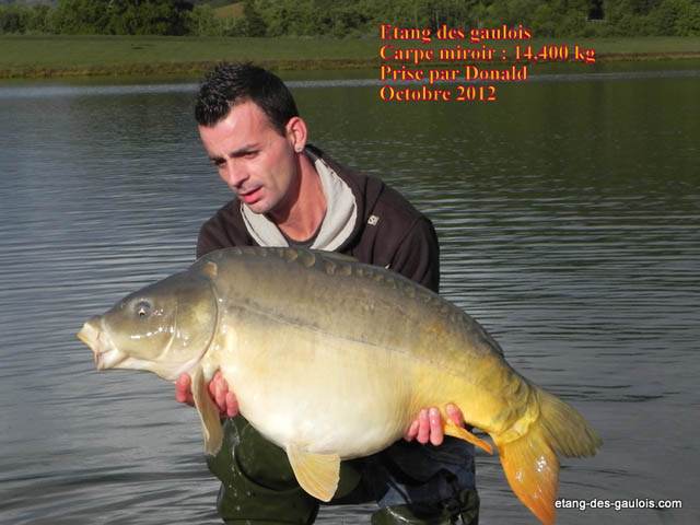 carpe-miroir-Donald-14kg400-oct-2012