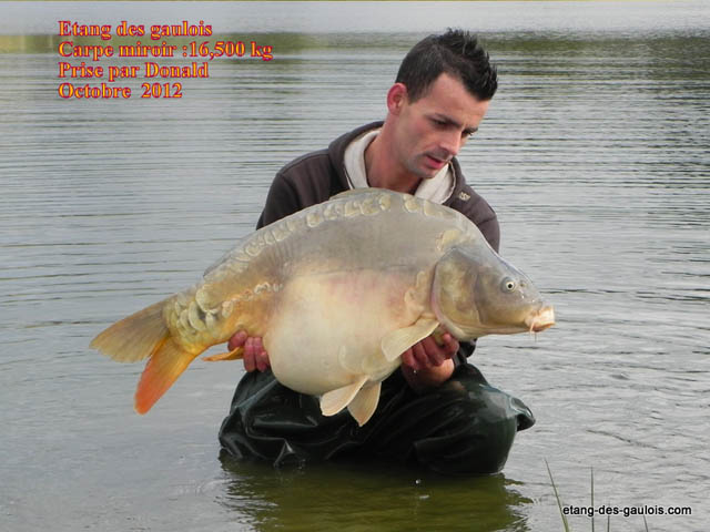 carpe-miroir2-Donald-16kg500-oct-2012