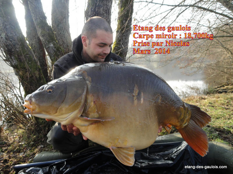 carpe-miroir-18kg7000-nicolas-mars-2014