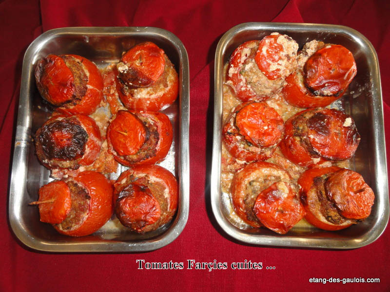 etang-des-gaulois-tomate-farcie