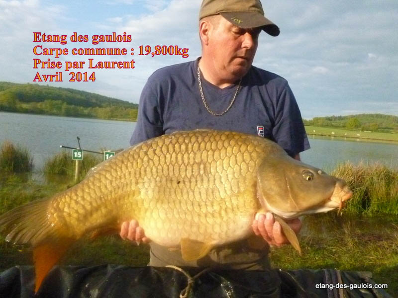 carpe-commune-19kg800-laurent-avril-2014
