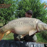 Carpe Miroir 15,2kg Prise par Anthony Juillet 2014