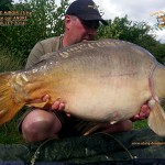 Carpe miroir 15kg Prise par Andr+-« Juillet 2014