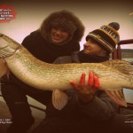 1 A Brochet 95 cm  Pris par Awa logo  et port+® par Matthieu DEC 2014