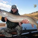 6 Brochet 1m01 Pris par Olivier Jan 2015