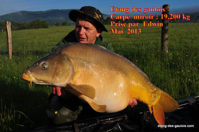 carpe-miroir-19kg200-edwin-mai-2013_2zoo