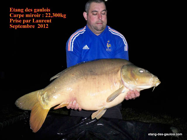 Carpe-miroir-22kg300-Laurent-Sept-2012
