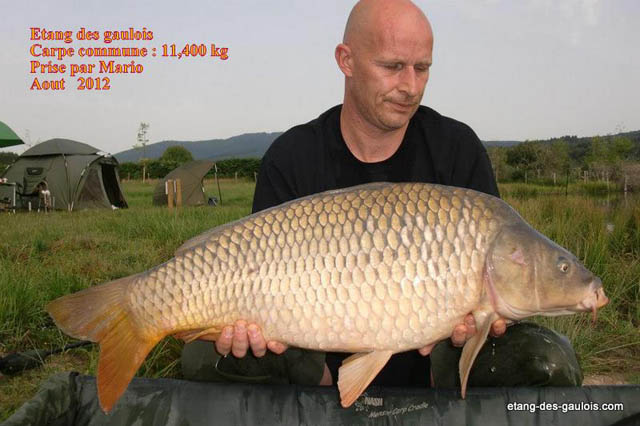 Commune-11kg400-mario-septembre2012_big