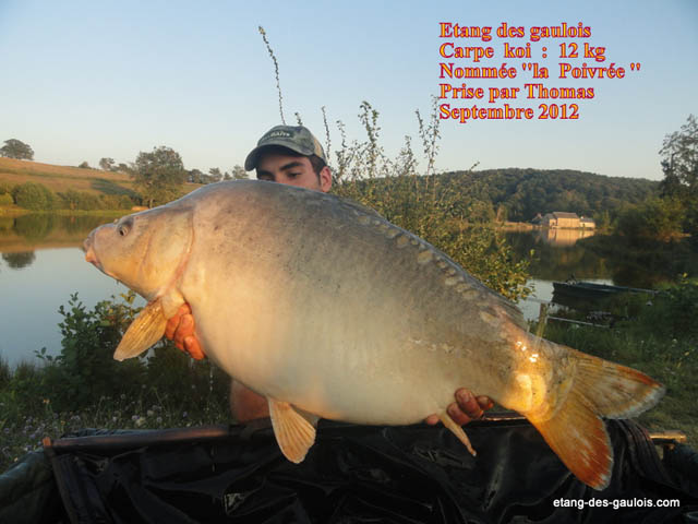 La-Poivree-12kg-thomas_septembre2012_big