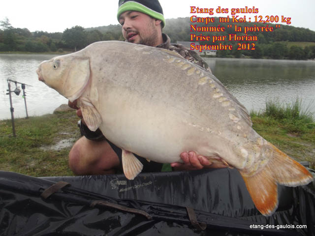 La-Poivree2-12kg200-florian_septembre2012_big