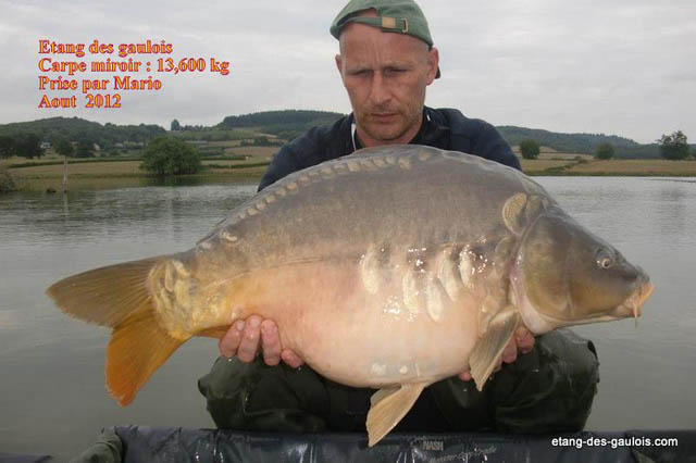 Miroir-13kg600-mario-aout2012_big