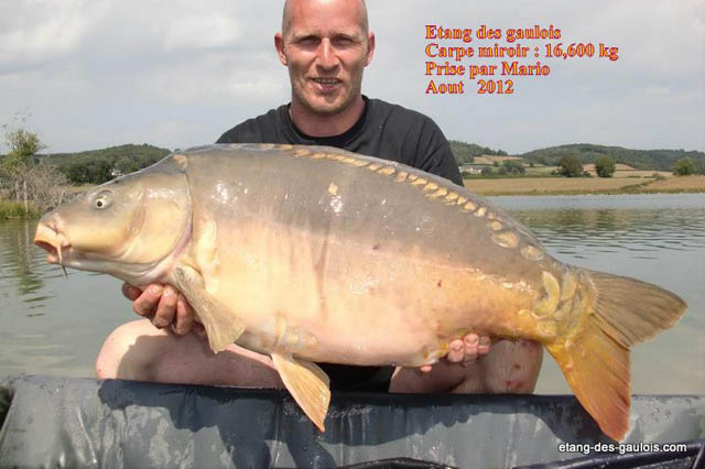 Miroir-16kg600-mario-aout2012_big