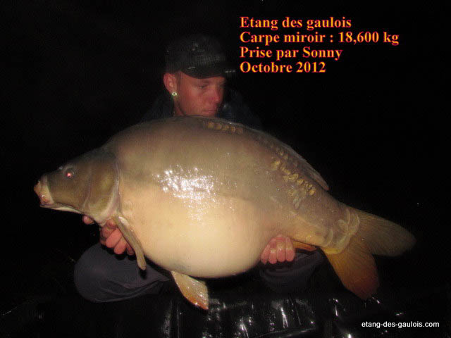 Miroir-18kg600-Sonny-oct-2012