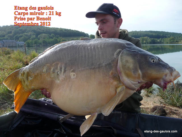 Miroir-21kg-Benoit-sept-2012