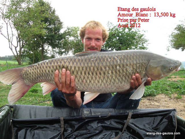 amour-blanc-Peter-Kuin-13kg5-Aout2012_big