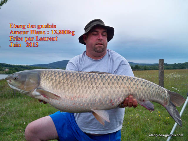 amour-blanc-laurent-13kg800-juin-2013_zoo