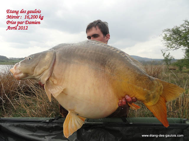 avril2012-damien-miroir-16kg200-verso_big