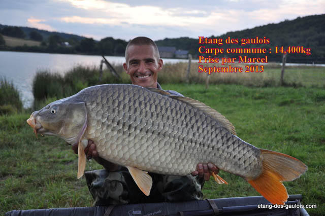 carpe-commune-14kg400-marcel-sept2013_zoo