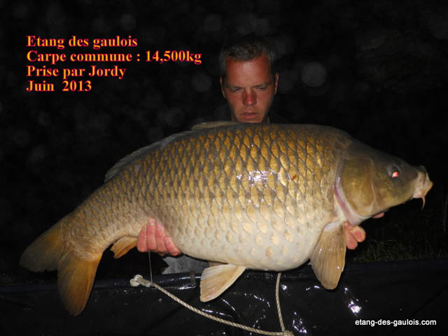 carpe-commune-14kg500-jordy-juin-2013_zoo