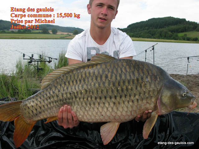 carpe-commune-15kg500-Michael-juillet2012_big