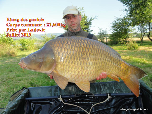 carpe-commune-20kg600-ludovic-juillet-2013_zoo
