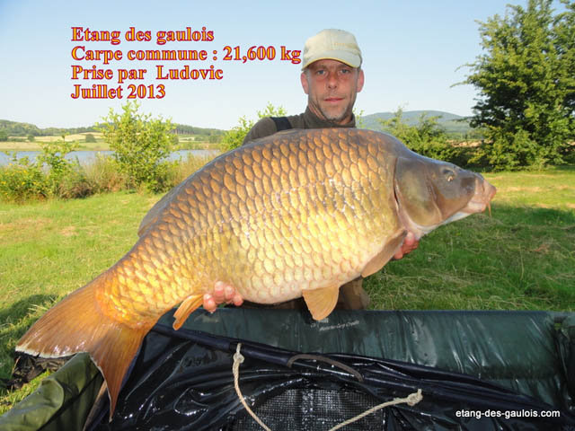 carpe-commune-20kg600-ludovic-juillet-2013_zoo2