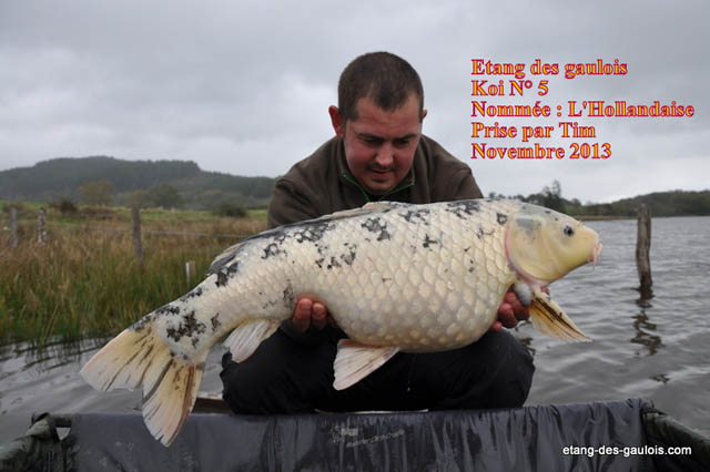 carpe-koi-N5-6kg-tim-nov2013_zoo