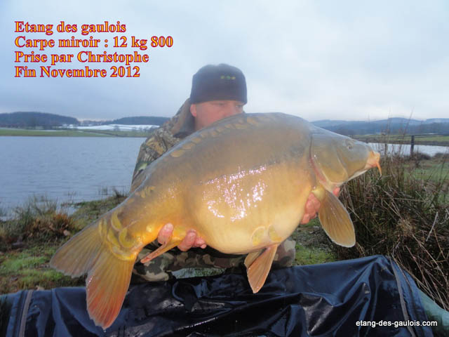 carpe-miroir-12kg800-Christophe-nov-2012