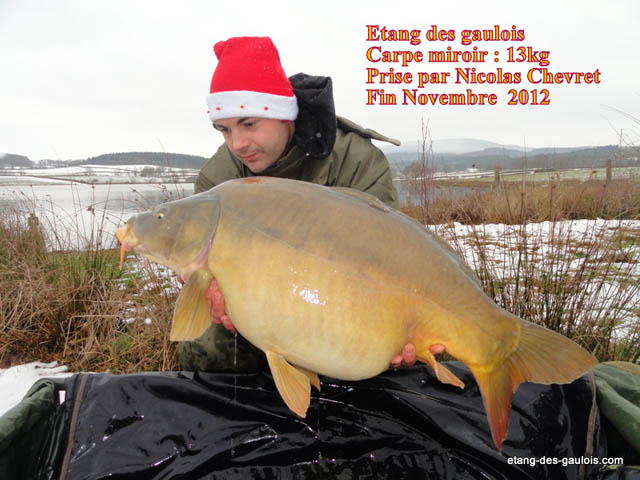carpe-miroir-13kg-Nicolas-nov-2012