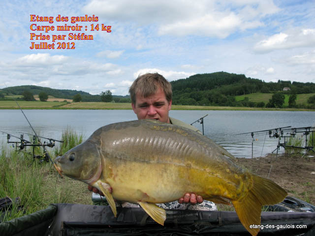 carpe-miroir-14kg-Stefan-juillet2012_big