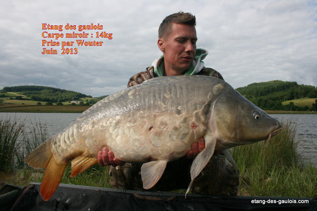 carpe-miroir-14kg00-Wouter-juin-2013_zoo