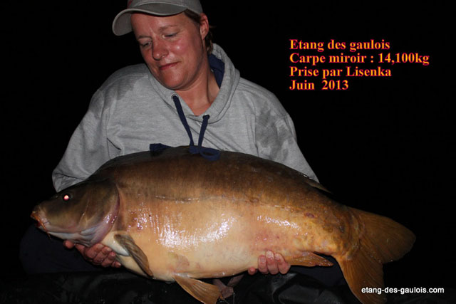 carpe-miroir-14kg100-lisenka-Juin-2013_zoo