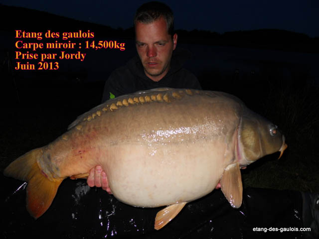 carpe-miroir-14kg500-jordy-juin-2013_zoo