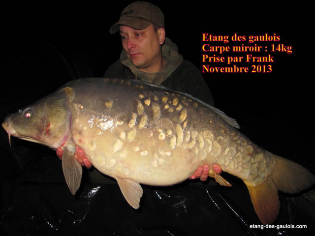 carpe-miroir-14kgfranck-nov2013_zoo