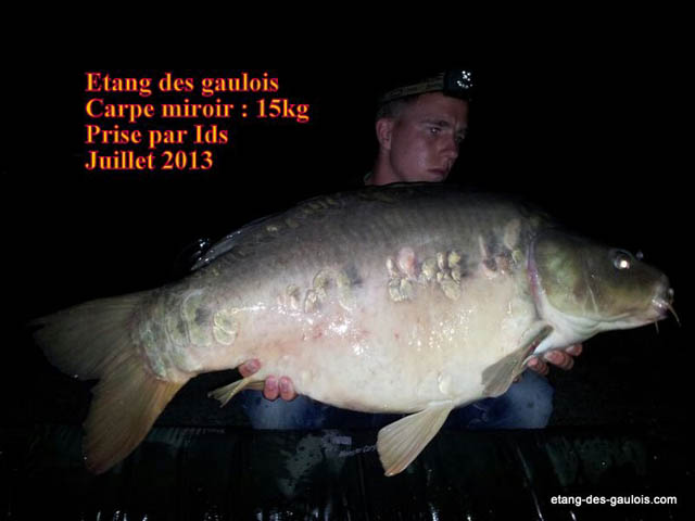 carpe-miroir-15kg-ids-juillet-2013_zoo2