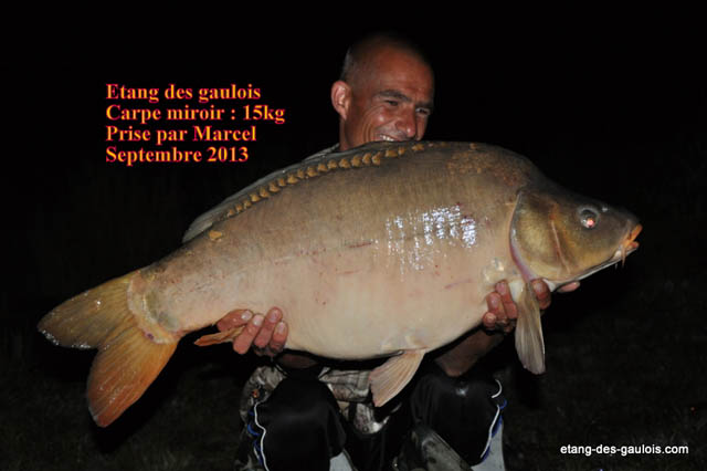 carpe-miroir-15kg-marcel-sept2013_zoo