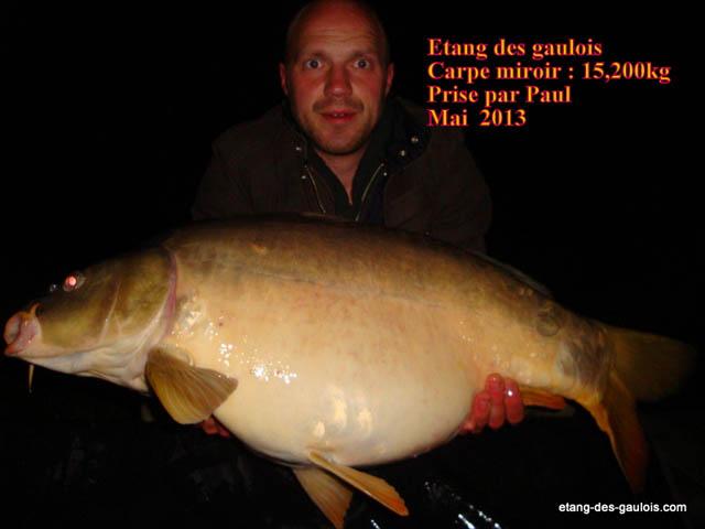 carpe-miroir-15kg200-paul-mai-2013_zoo