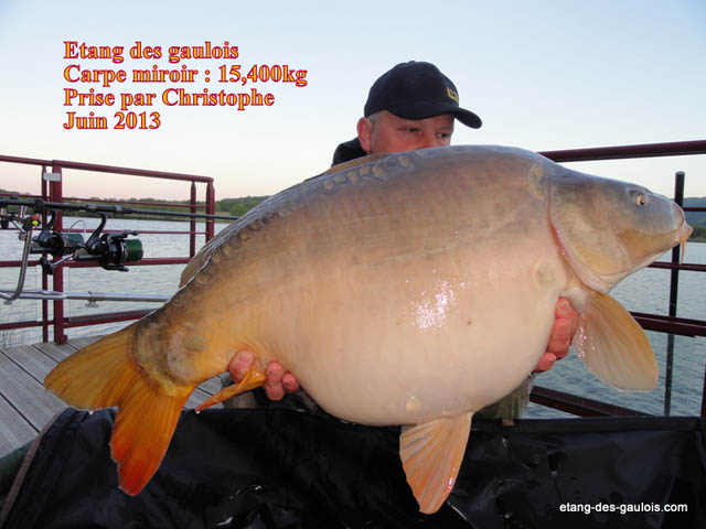 carpe-miroir-15kg400-christophe-juin-2013_zoo