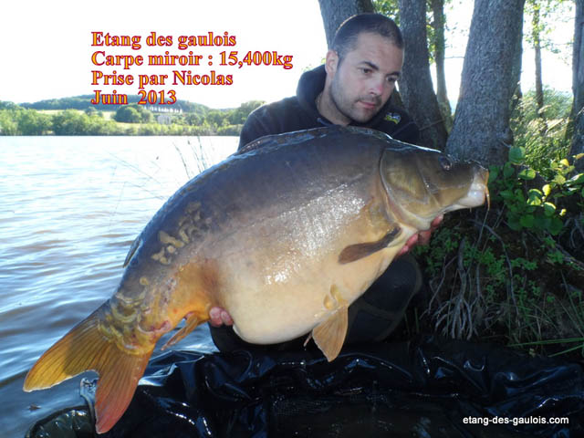 carpe-miroir-15kg400-nicolas-juin-2013_zoo