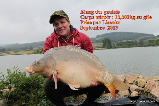carpe-miroir-15kg500-lisenka-sept-2013_zoo