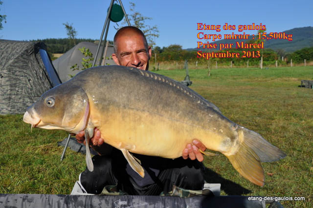 carpe-miroir-15kg500-marcel-sept2013_zoo