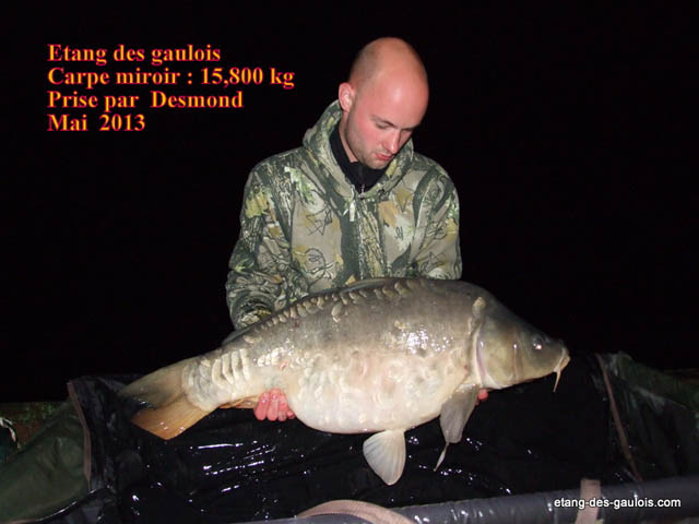 carpe-miroir-15kg800-desmond-mai-2013_zoo2